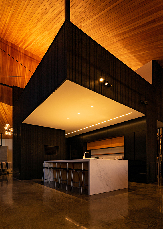 ORAKEI BASIN HOUSE - ORAKEI_04_WEB.jpg